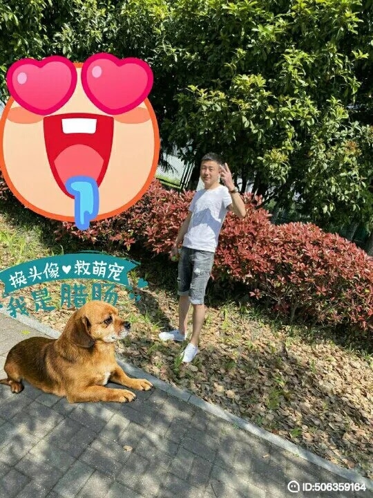 我若不坚强谁替我勇敢的第五张照片--安徽上门女婿服务网